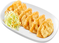 Gyoza, Japanese Dumpling (Chicken & Vegetable)